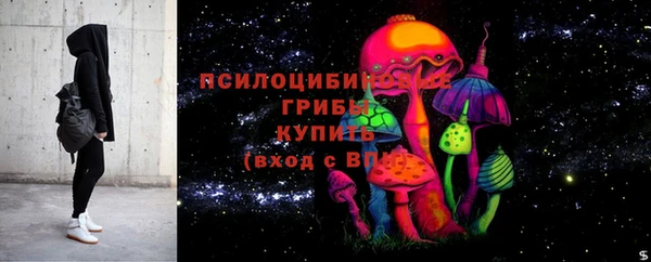таблы Пересвет