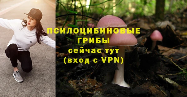 синтетический гашиш Переславль-Залесский