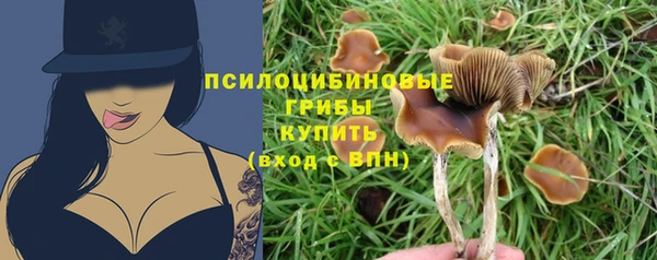 синтетический гашиш Переславль-Залесский